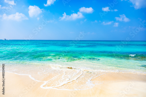 magical paradise beach of the Caribbean sea