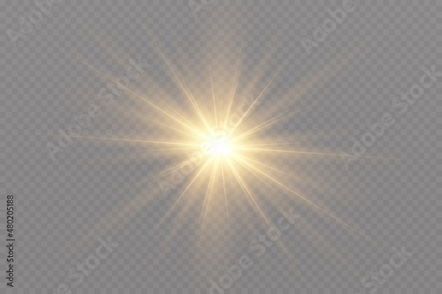 Shining golden stars. Light effects, glare, glitter, explosion, golden light. Vector illustration.Bright flash.