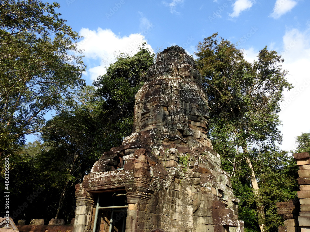 ta prohm temple - The temple ruins of Angkor Wat in Siem Reap Province, Cambodia.   