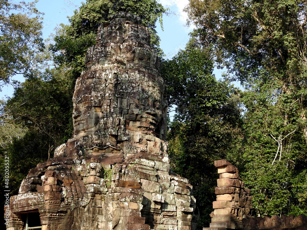 ta prohm temple - The temple ruins of Angkor Wat in Siem Reap Province, Cambodia. ta prohm temple - The temple ruins of Angkor Wat in Siem Reap Province, Cambodia.