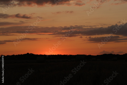 sunset over the field © Alexandr