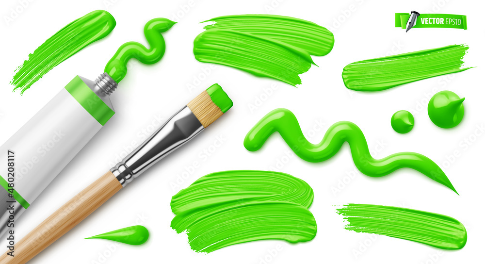 Vector realistic illustration of a green paint tube, paintbrush and brush strokes on a white background.