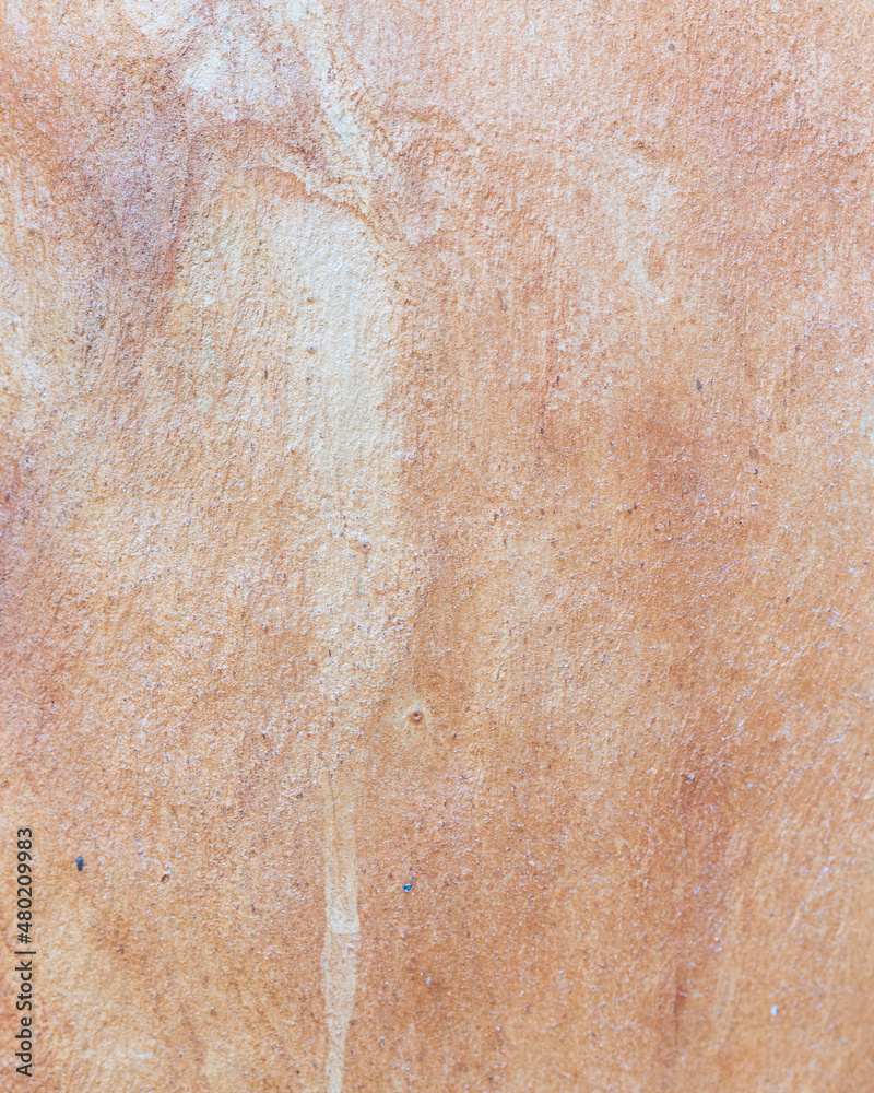 Fototapeta premium texture of Eucalyptus tree bark