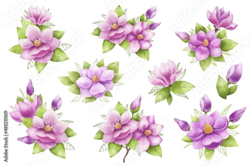 Collection of watercolor magnolias, twigs with magnolia flowers.