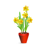 Yellow daffodil flowers in a plastic shipping pot for room decor. Vector illustration for interior design, flower shop advertising, other.