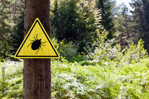 Tick insect warning sign in nature forest. Danger of Lyme disease, Borrelia and Meningitis.