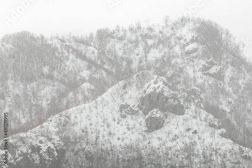 view of a snow-capped mountain with autumn colors as well