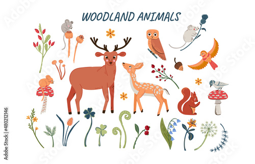 Wooden flora and fauna collection. Big set of cute forest animals and nature