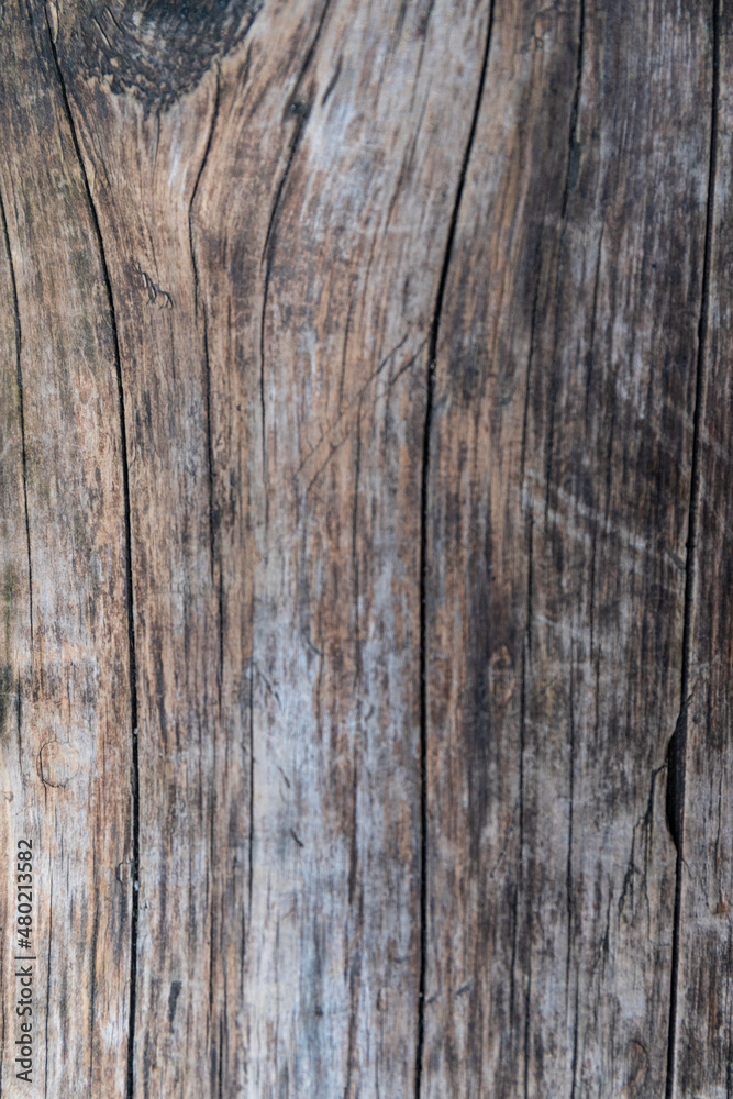 Old grunge textured wooden background,The surface of the old brown wood texture Old grunge textured wooden background,The surface of the old brown wood texture
