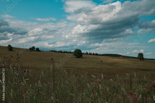 Himmel über Bergwiesen