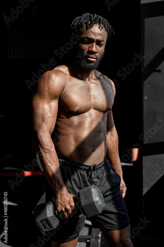 Nice Shirtless African American Male With Perfect Body Exercising With Dumbbells. Biceps Workout Wession. Black Man Training Arms With Sports Equipment At Modern Gym, Lifting Barbell With One Hand