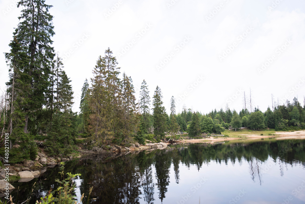 lake in the forest harz odersee