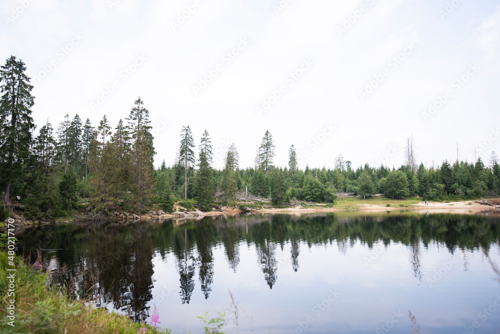 lake and forest harz odersee