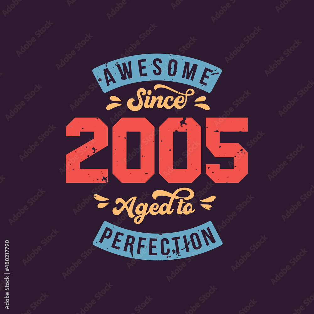 Awesome since 2005 Aged to Perfection. Awesome Birthday since 2005 Retro Vintage