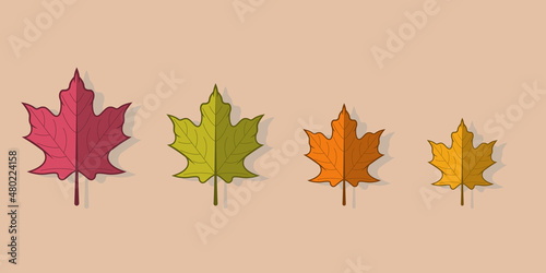 Autumn leaves multicolor  simple cartoon flat style  isolated vector illustration.