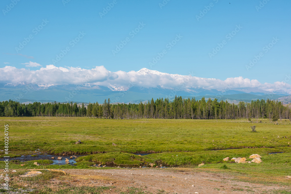 Scenic landscape with creek against forest and large snowy mountain range in low clouds in bright sun under blue sky. Colorful green scenery with high snow-white mountains in low clouds in sunny day.