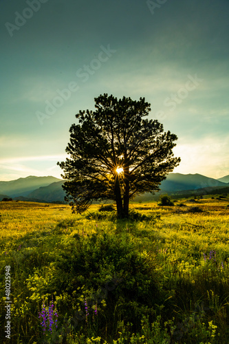 Evening Walk At Sunset