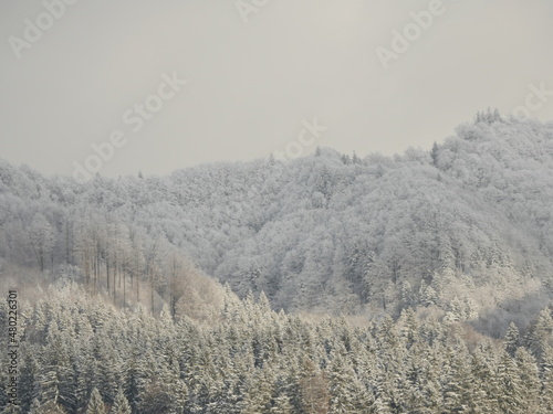 Winterlandschaft im Allgäu Adelegg bei Isny