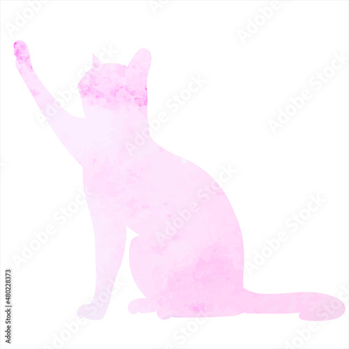 Photography cat pink watercolor silhouette on white background