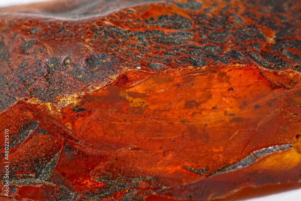 Modern red and yellow background. Texture of amber. Sun stone with inclusions. Natural fossilized resin. Copal. semi-precious mineral. Material for jewelry and ornaments. Crystal. Geology 