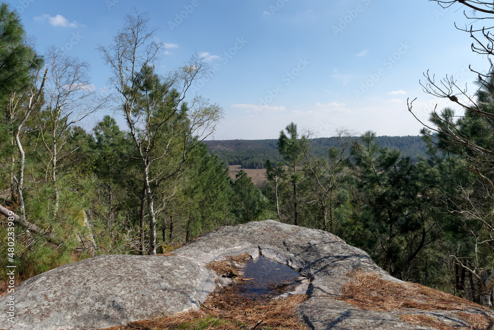 Corne-Biche rock in Fontainebleau forest Corne-Biche rock in Fontainebleau forest