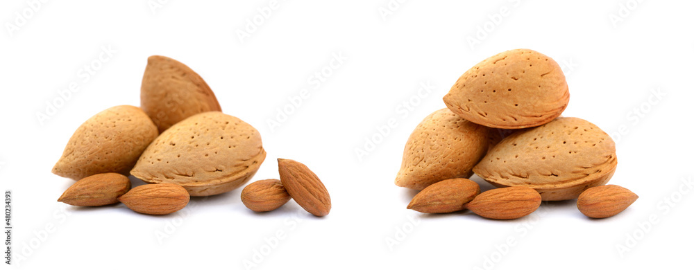 Heap of fresh almonds in shells isolated on white background