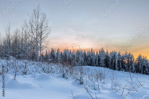 Winter morning in the forest with snow-covered trees, dawn. Travel concept © Aleksandr 44ARH