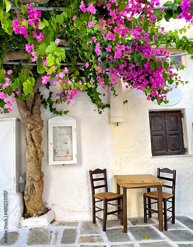 Traditional greek tavern cafe restaurant under a beautiful flower tree, cycladic islands, village serifos table and chairs in front of a Greek house