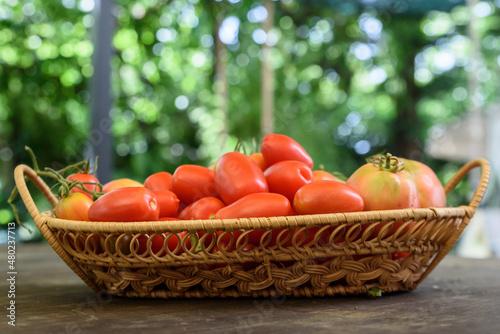 Woven basket on a wooden table filled with ripe red organic tomatoes.