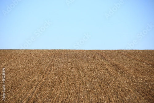 Fototapeta Horizont über einem Acker verläuft durch die Mitte des Bildes