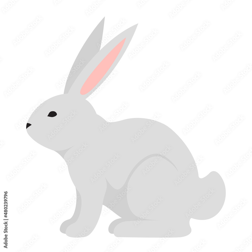 Rabbit 2 Rabbit 2