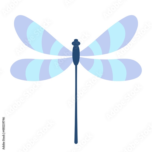 Dragonfly 5