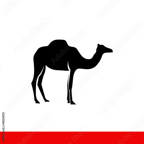 Camel for riding in the desert  vector icon