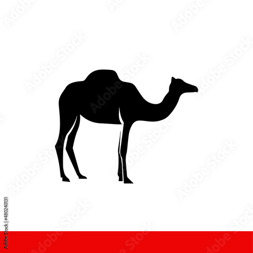 Camel for riding in the desert, vector icon