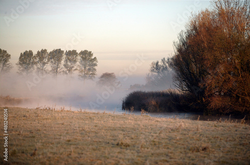 Wedeler Elb-Au im Nebel © Andreas
