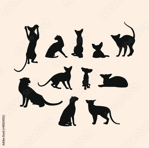 A set of silhouettes of black cats of oriental breed in different poses