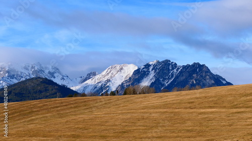 schneefreie Felder in steirischer Alpe photo