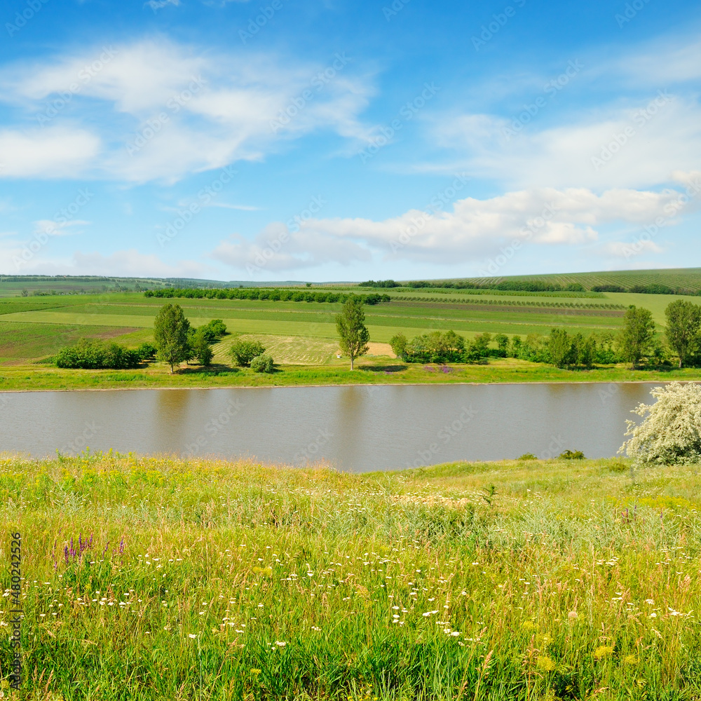 Naklejka premium summer landscape. Meadow, lake, agricultural fields and blue sky.