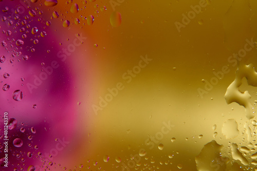 Gold and fuchsia color  blurred background  with water drops. Closeup.