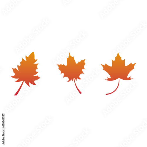 Orange leaf sign icon. Vector illustration eps 10.