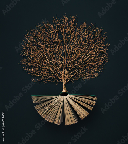 Golden tree growing from the old book, Education and knowledge concept. Flat lay. photo