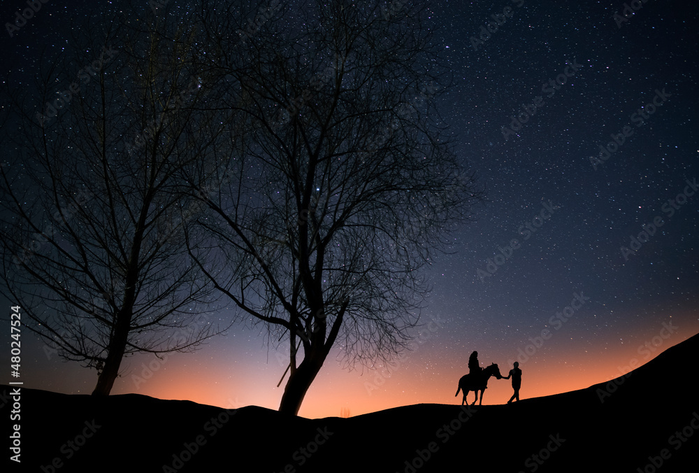 Silhouette of rider on a horse  and her companion, stands on a hill with trees in the starry night. 
