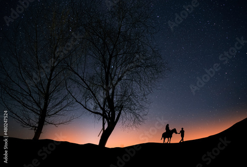 Silhouette of rider on a horse  and her companion  stands on a hill with trees in the starry night.  