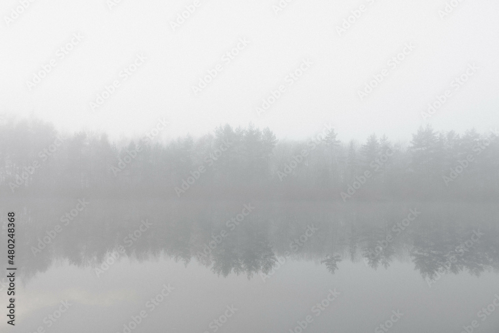 fog on the lake, misty morning in the forest