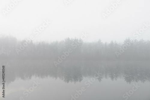 fog on the lake, misty morning in the forest