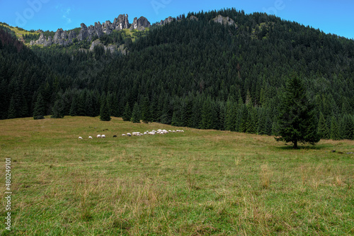 Mnichy Chochołowskie - długi rząd turni, które znajdują się w partiach szczytowych i na zboczach wschodniego ramienia Bobrowca (1663 m n.p.m.) w Tatrach Zachodnich
