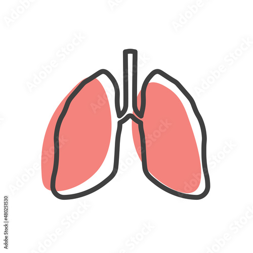 Human lungs linear icon. Internal organ. Respiratory system icon. Anatomy, medicine concept. Healthcare. Vector illustration isolated on white background. 