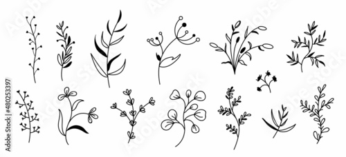 Floral and herbal set. Fantasy Botanical elements twigs and flowers isolated on white background. contour illustrations of spring flowers © Наталья Трубочнова