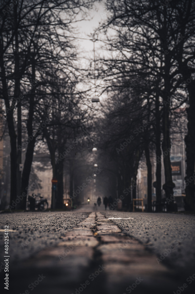 cold morning in the city with fog cold morning in the city with fog