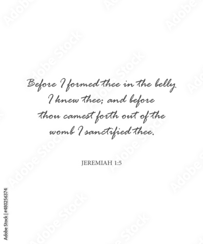 Before I formed thee in the belly I knew thee, Jeremiah 1:5, encouraging bible verse, scripture poster, Home wall decor, Christian banner, Baptism wall gift, vector illustration